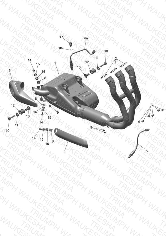 Exhaust System
