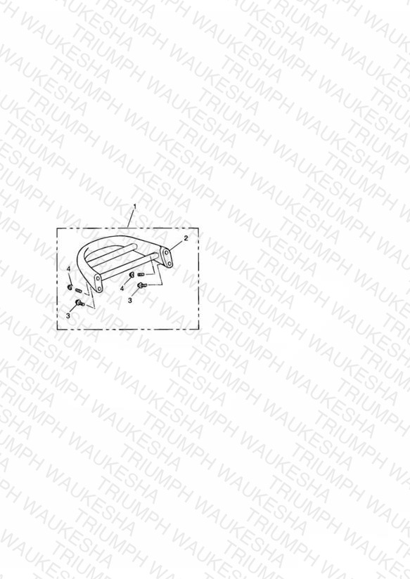 Passenger Backrest Luggage Rack Only (Cast)