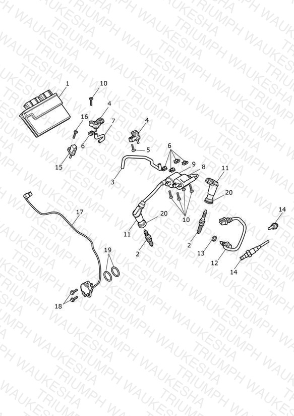 Engine Management System