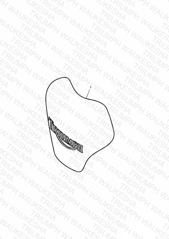 Tank Pad, Carbon Fibre