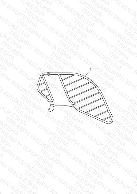 Saree Guard - India Only