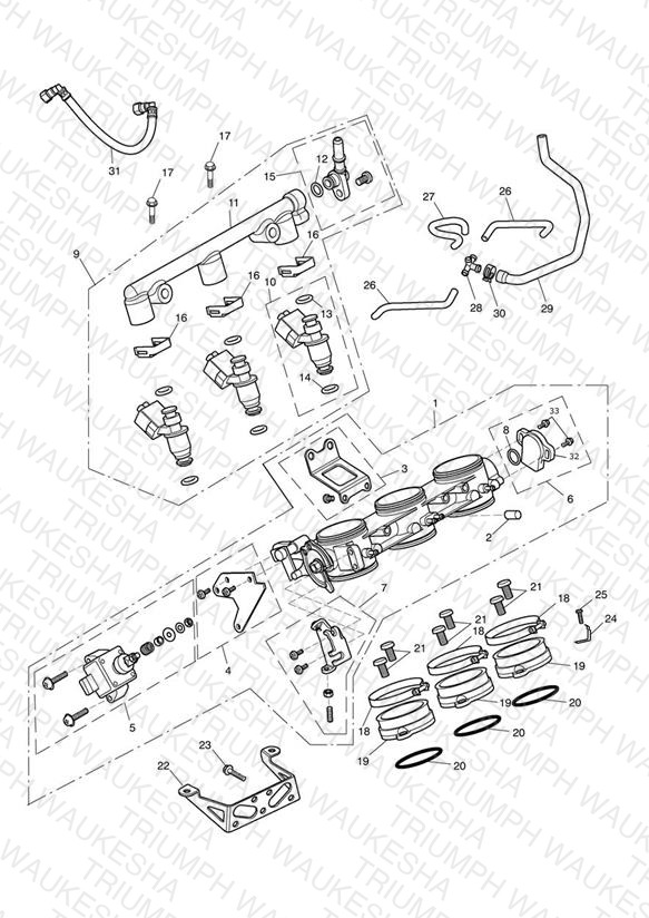 Throttles, Injectors and Fuel Rail