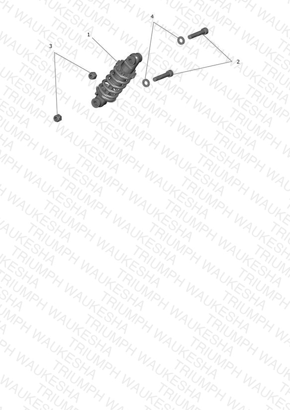 Rear Suspension Unit
