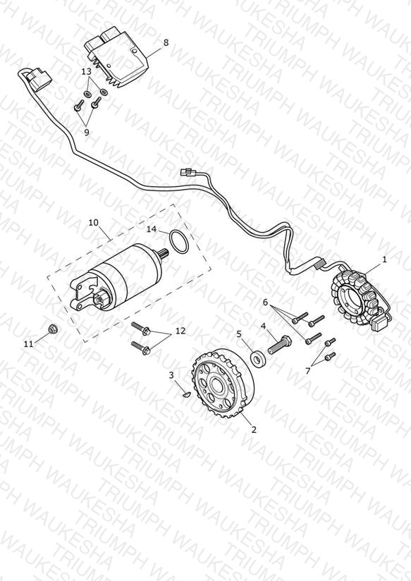 Starter & Alternator