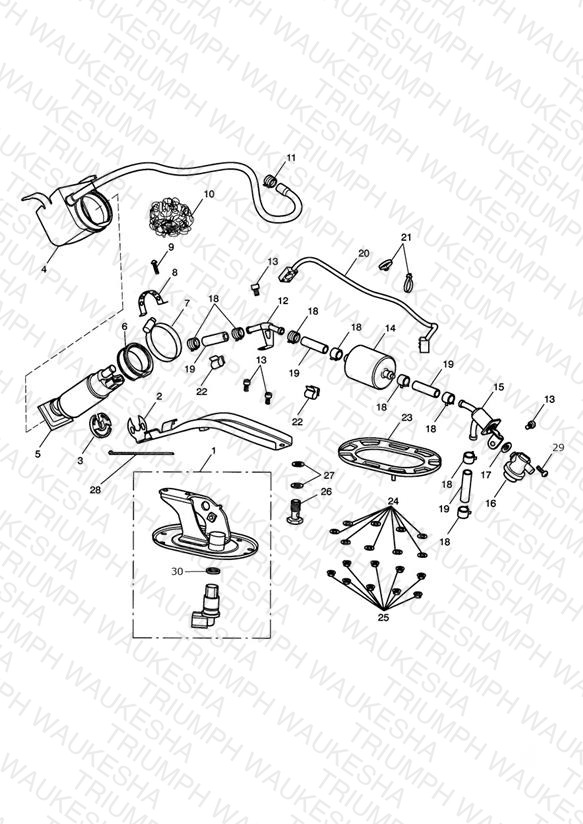 Fuel Pump & Filter