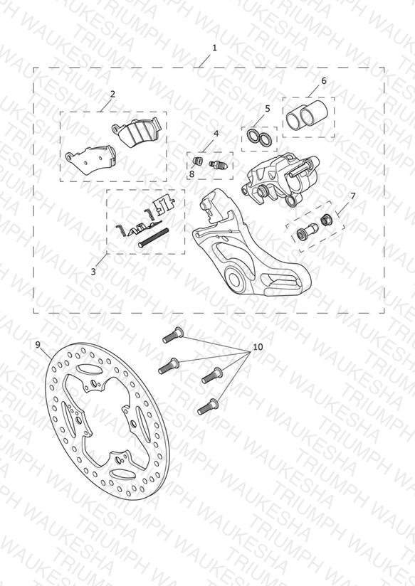 Rear Brake Caliper & Disc