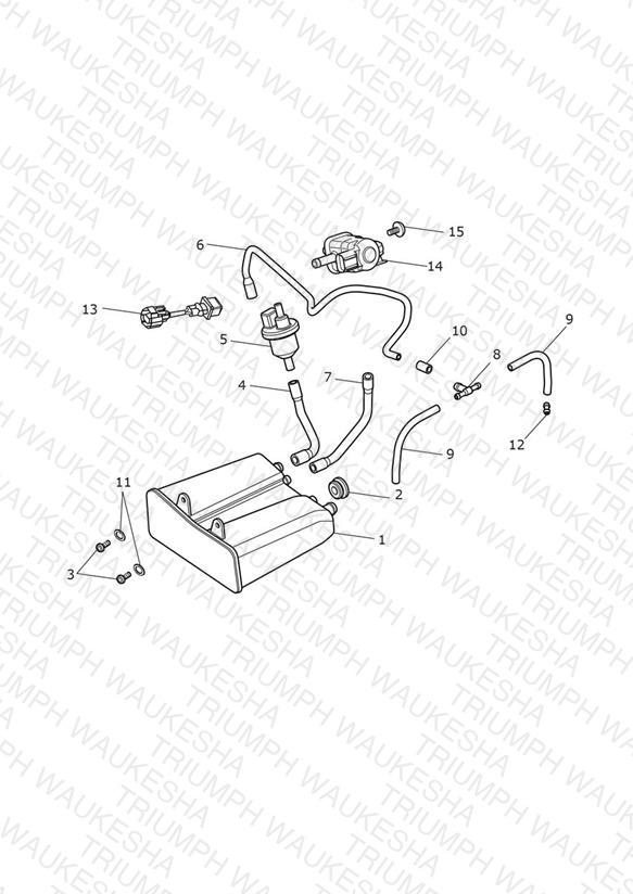 Evap System - 937275 >