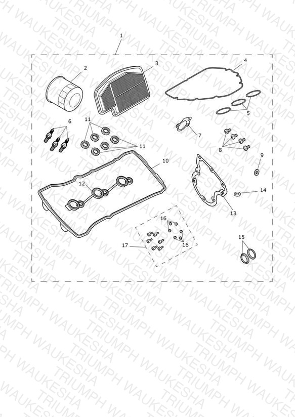 Engine Service Kit