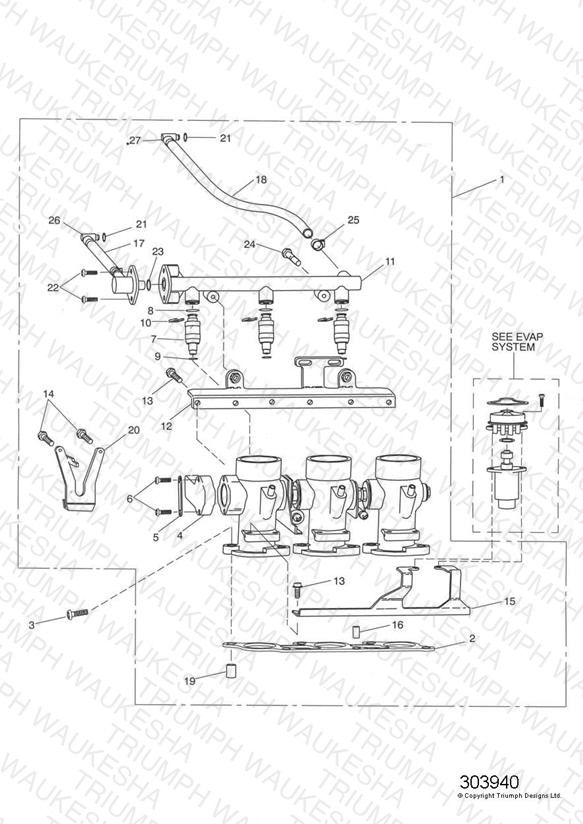 Throttles/Injectors and Fuel Rail