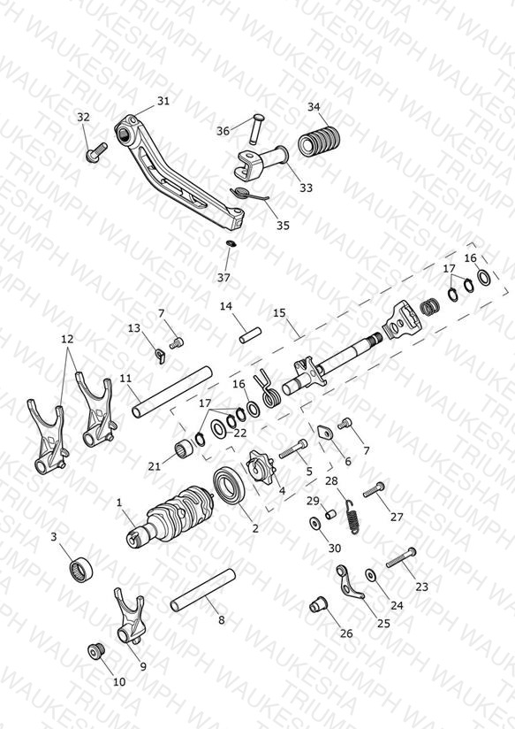 Gear Selectors & Pedal