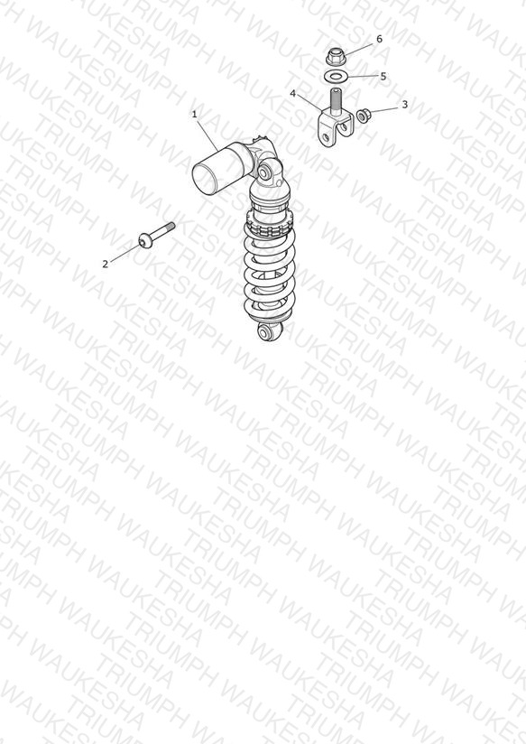 Rear Suspension Unit