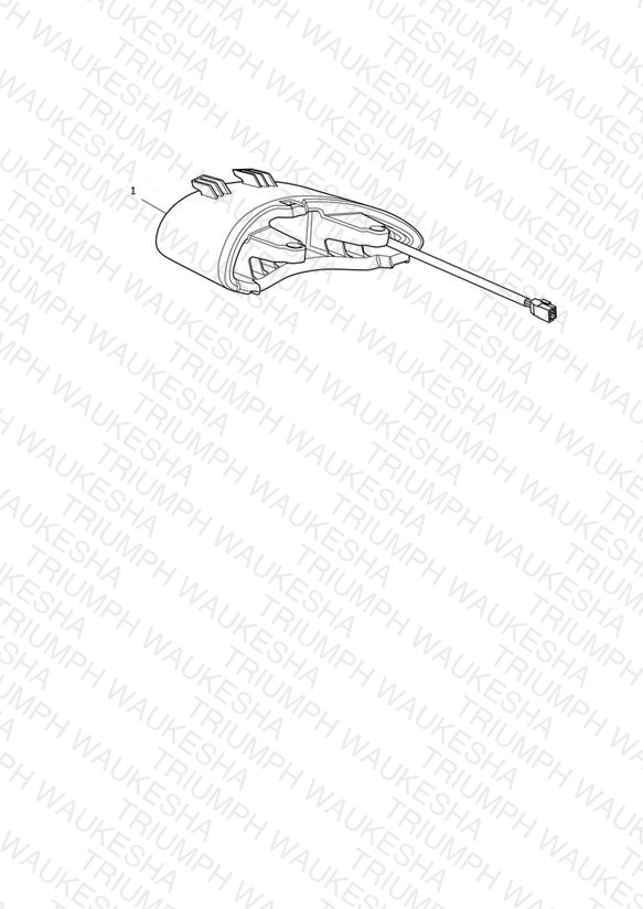 Rear Light Assy, Clear, LED