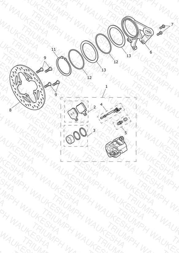 Rear Brake Caliper & Discs