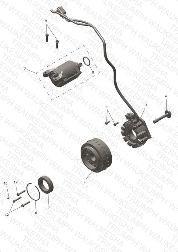 Alternator & Starter Motor