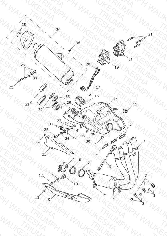 Exhaust System