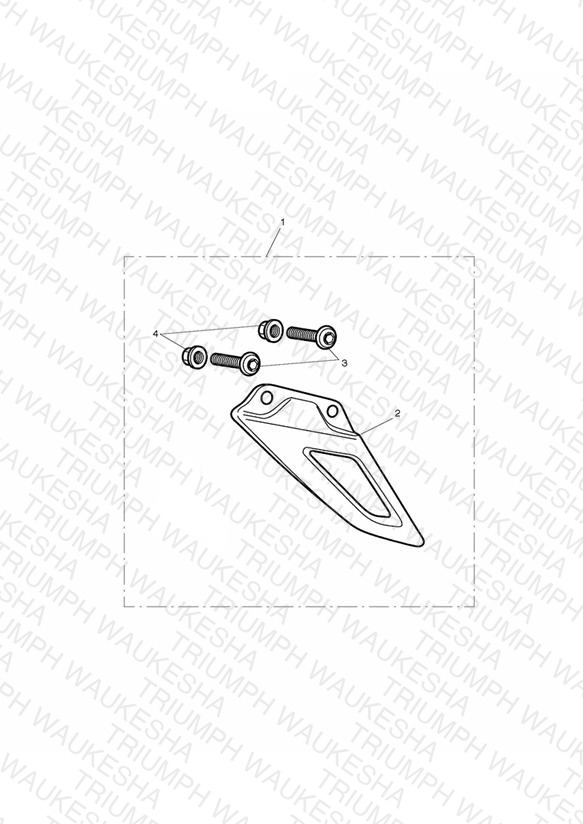 Low Chain Guard, Carbon Fibre