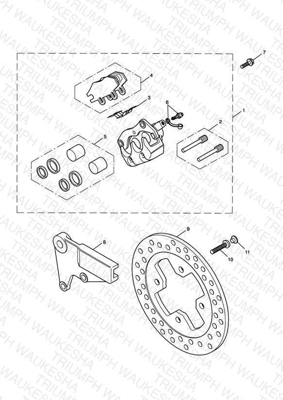Rear Brake Caliper & Disc