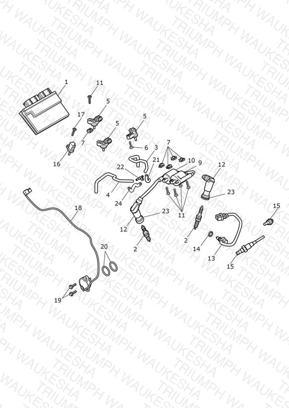 Engine Management System