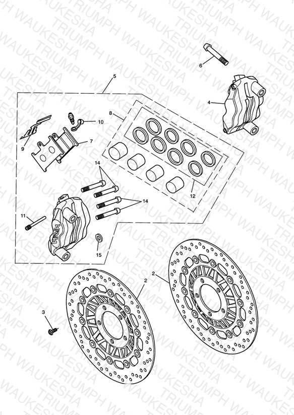 Front Brake Caliper & Discs