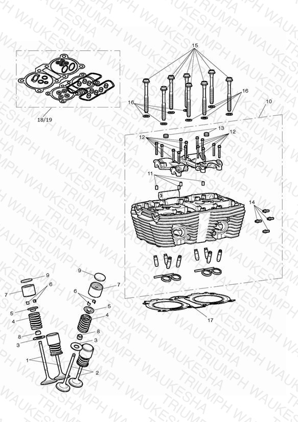 Cylinder Head & Valves