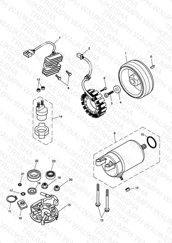 Starter & Alternator