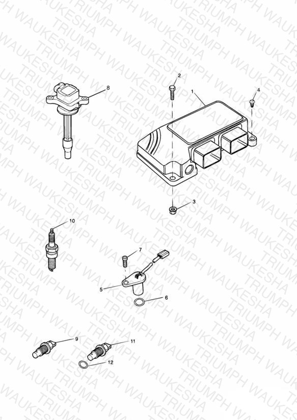Engine Management System