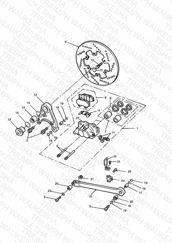 Rear Brake Disc and Caliper