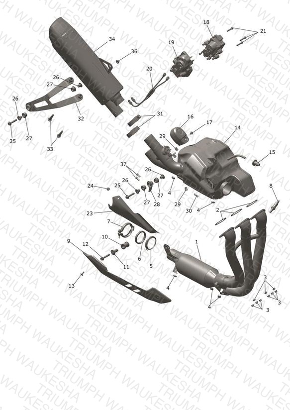 Exhaust System - Breitling Edition