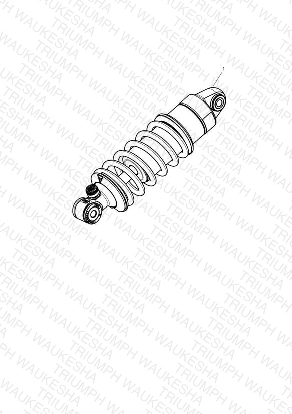 Rear Suspension Unit