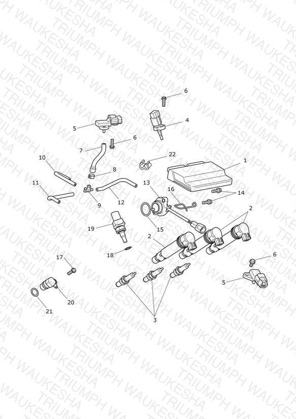 Engine Management System