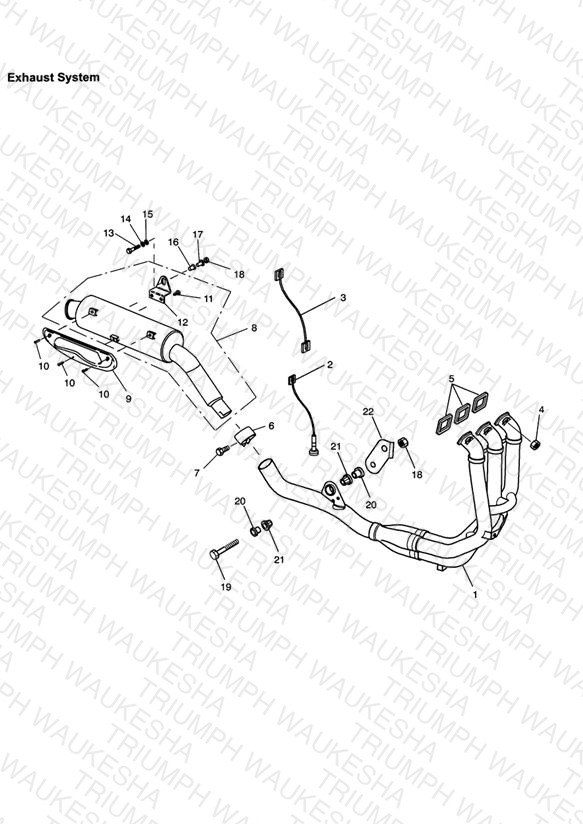 Exhaust System