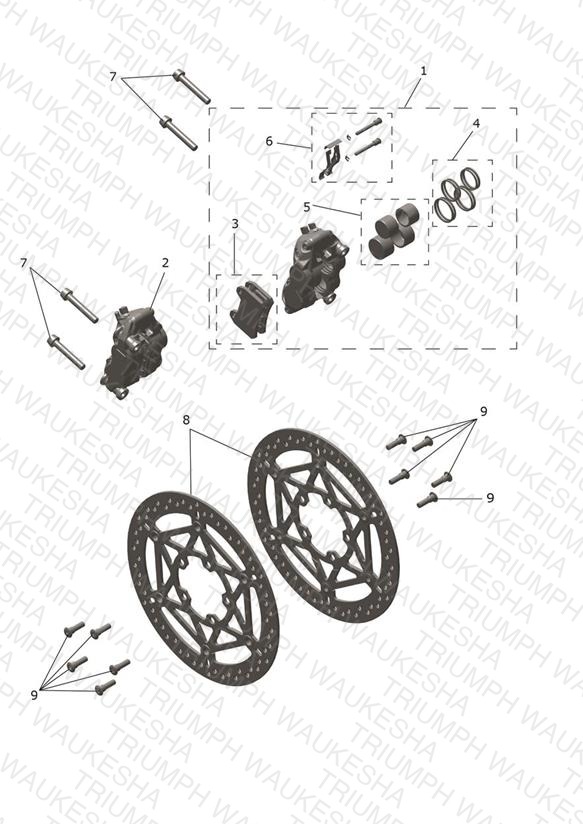 Front Brake Caliper & Discs