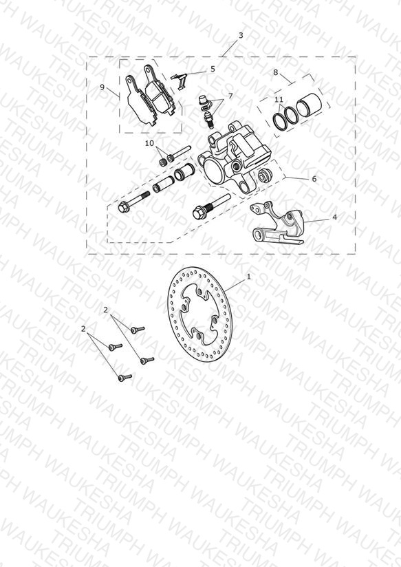 Rear Brake & Disc