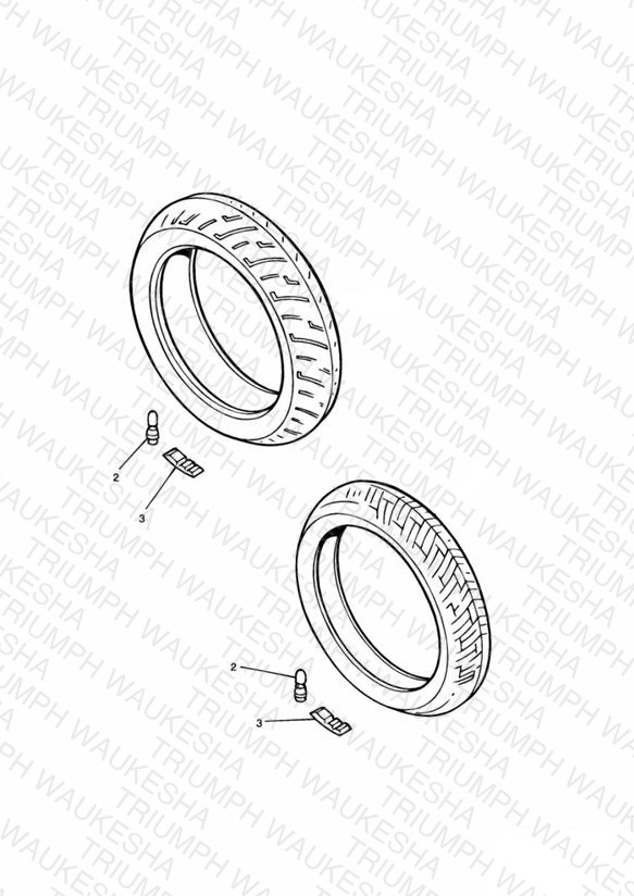 Tyres/Inner Tube Daytona 900/1200
