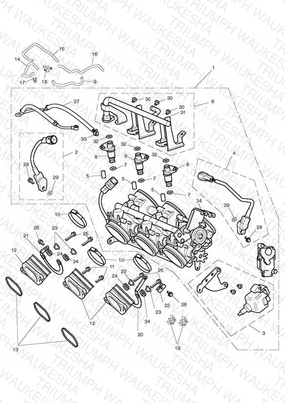 Throttles, Injectors and Fuel Rail