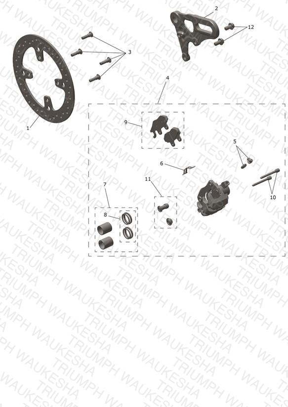 Rear Brake Caliper & Disc