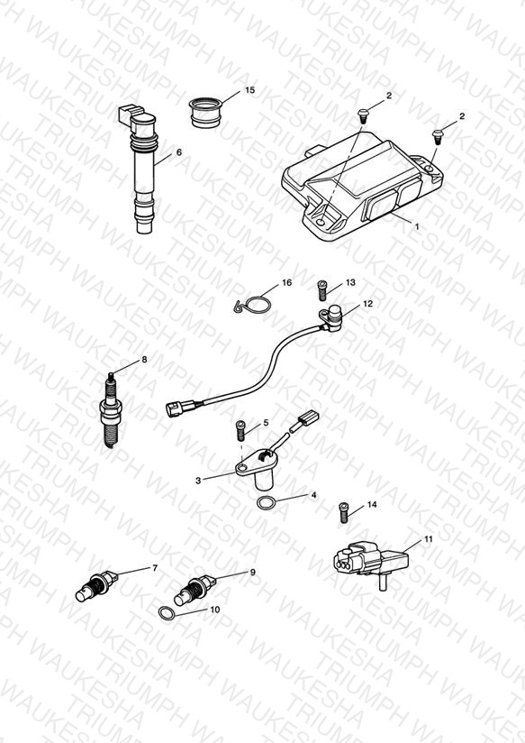 Engine Management System