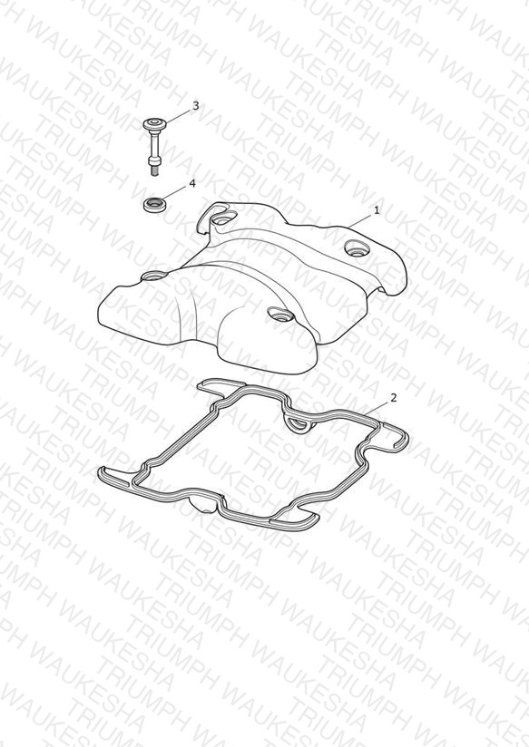 Cam Cover - All Except CN - Plus IN > 974249