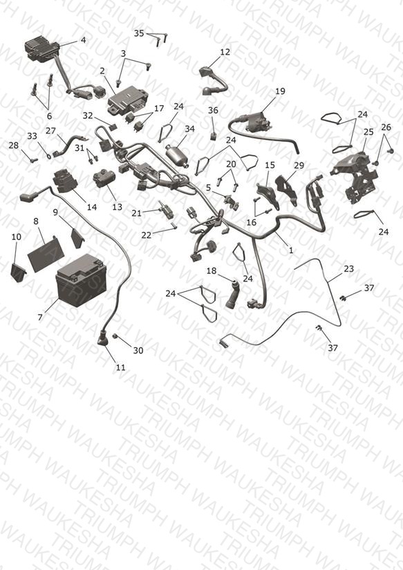 Electrical System