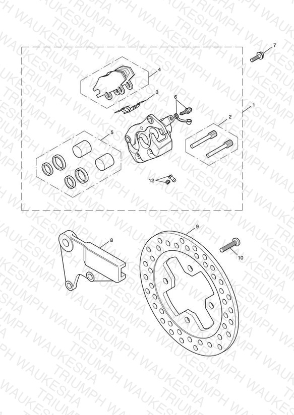Rear Brake Caliper & Disc