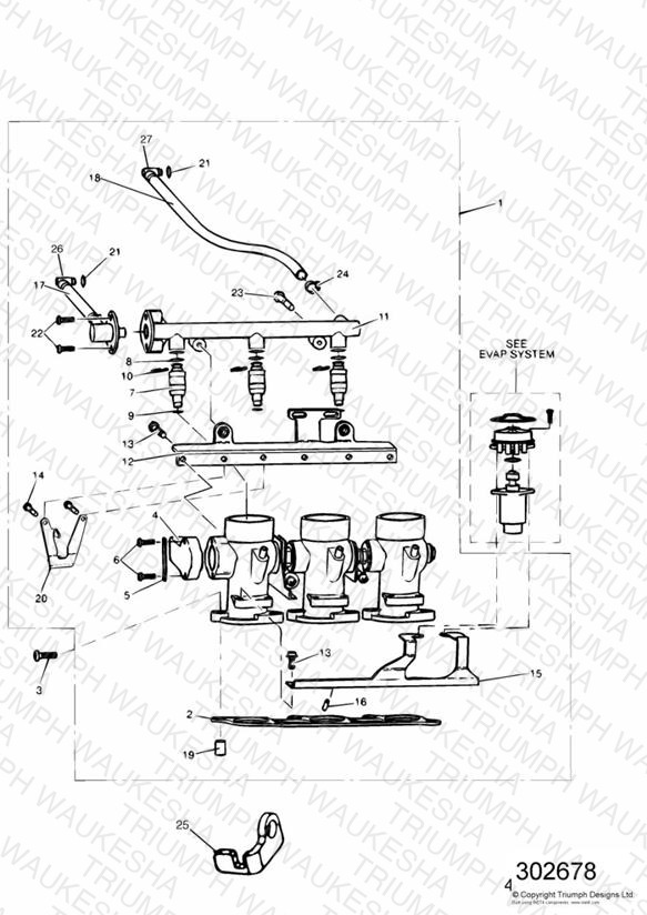 Throttles/Injectors and Fuel Rail 955cc Engine