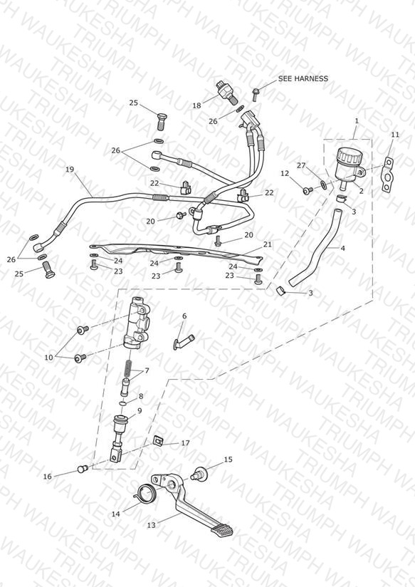 Rear Brake Master Cylinder, Reservoir & Pedal