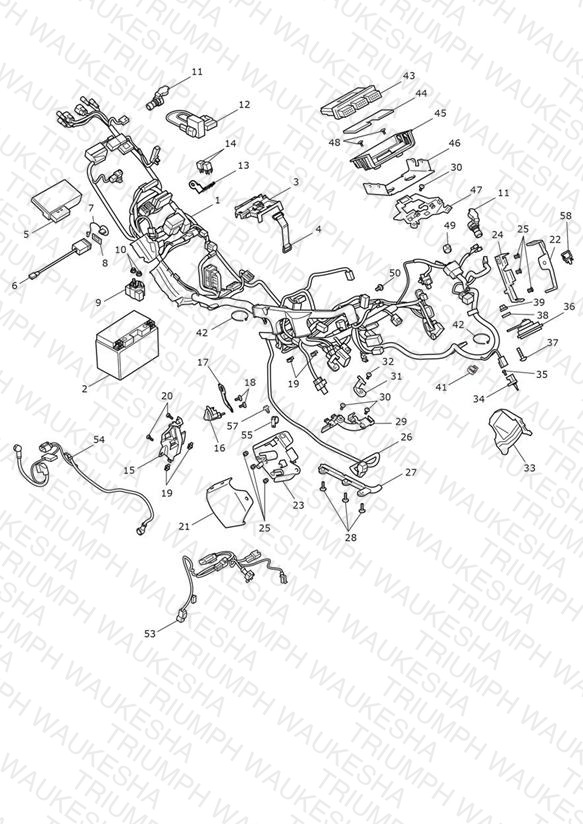 Electrical Section
