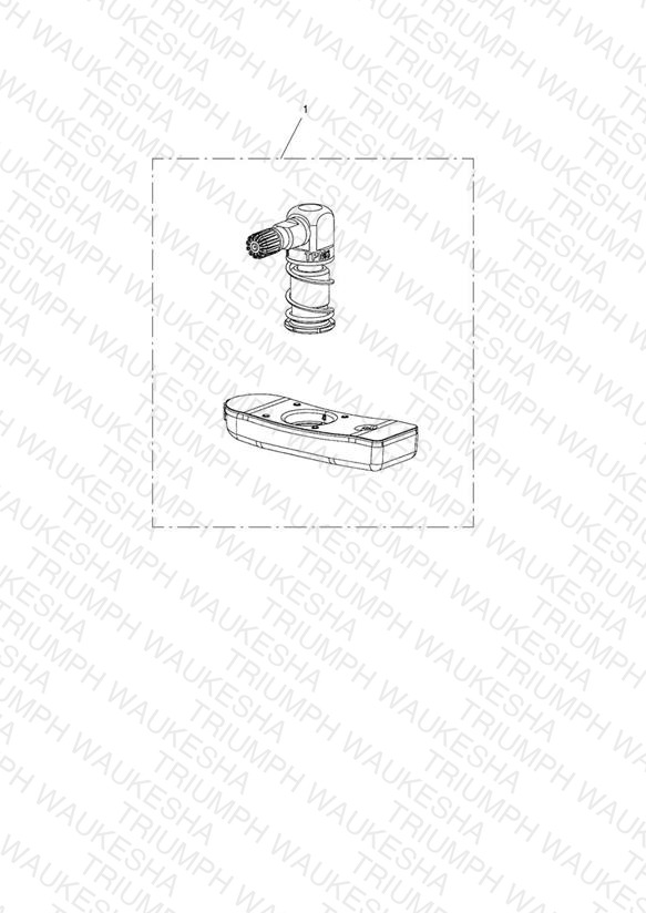 TPMS, ROW
