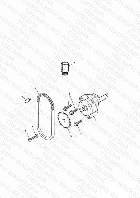 Oil Pump & Drive