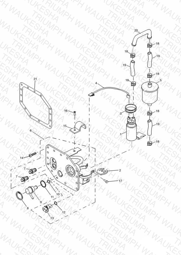 Fuel Pump and Filters > 207554