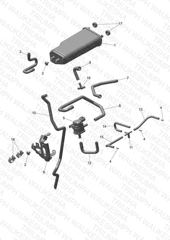 Evap System