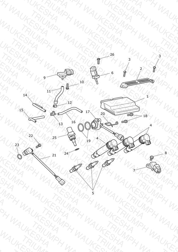 Engine Management System