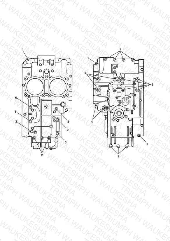 Crankcase Bolts