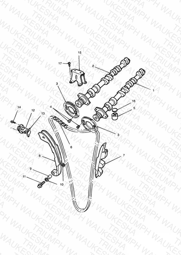 Camshaft and Drive